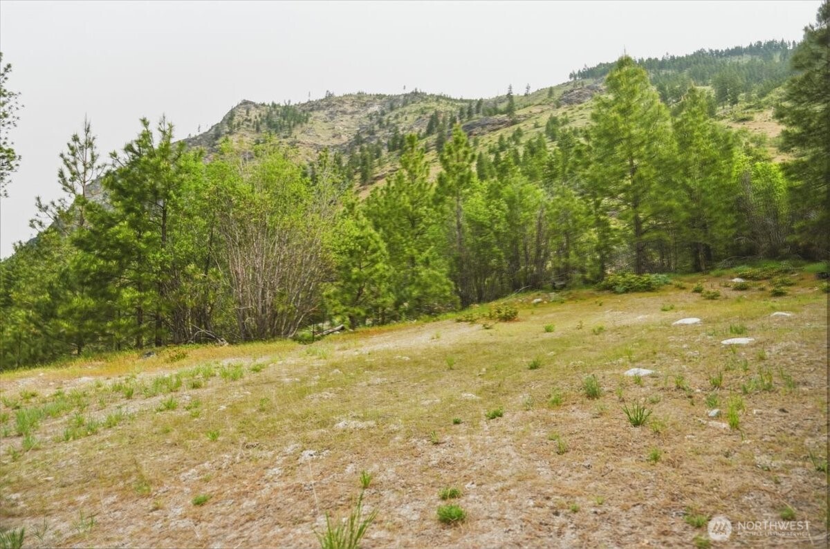 4 Lot Mossback Lane Property Photo 6