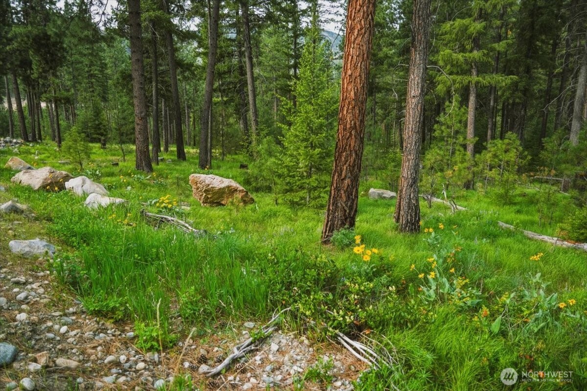 4 Lot Mossback Lane Property Photo 13