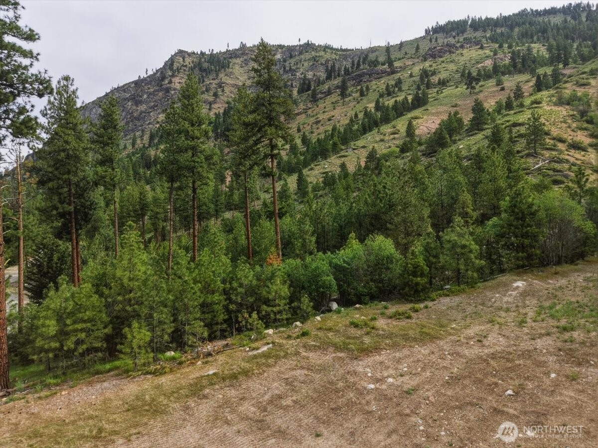 4 Lot Mossback Lane Property Photo 21
