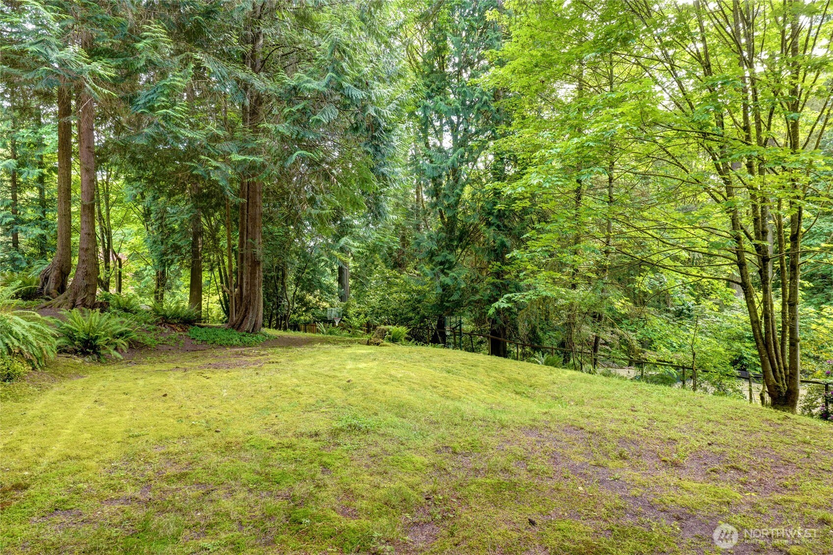 3903 142nd Place Property Photo 35