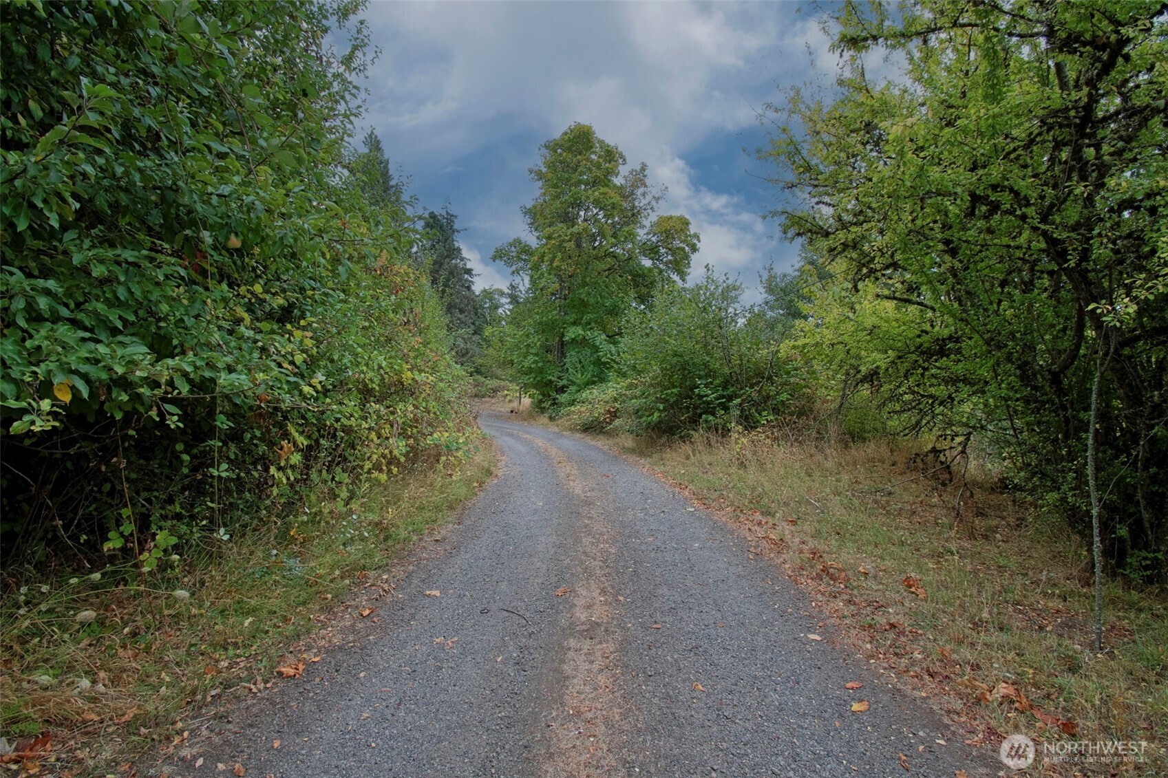 406 Chehalis Property Photo 3