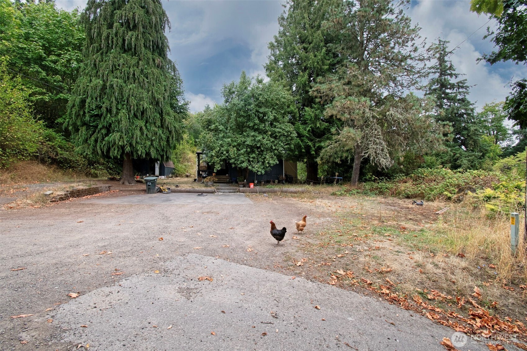 406 Chehalis Property Photo 4