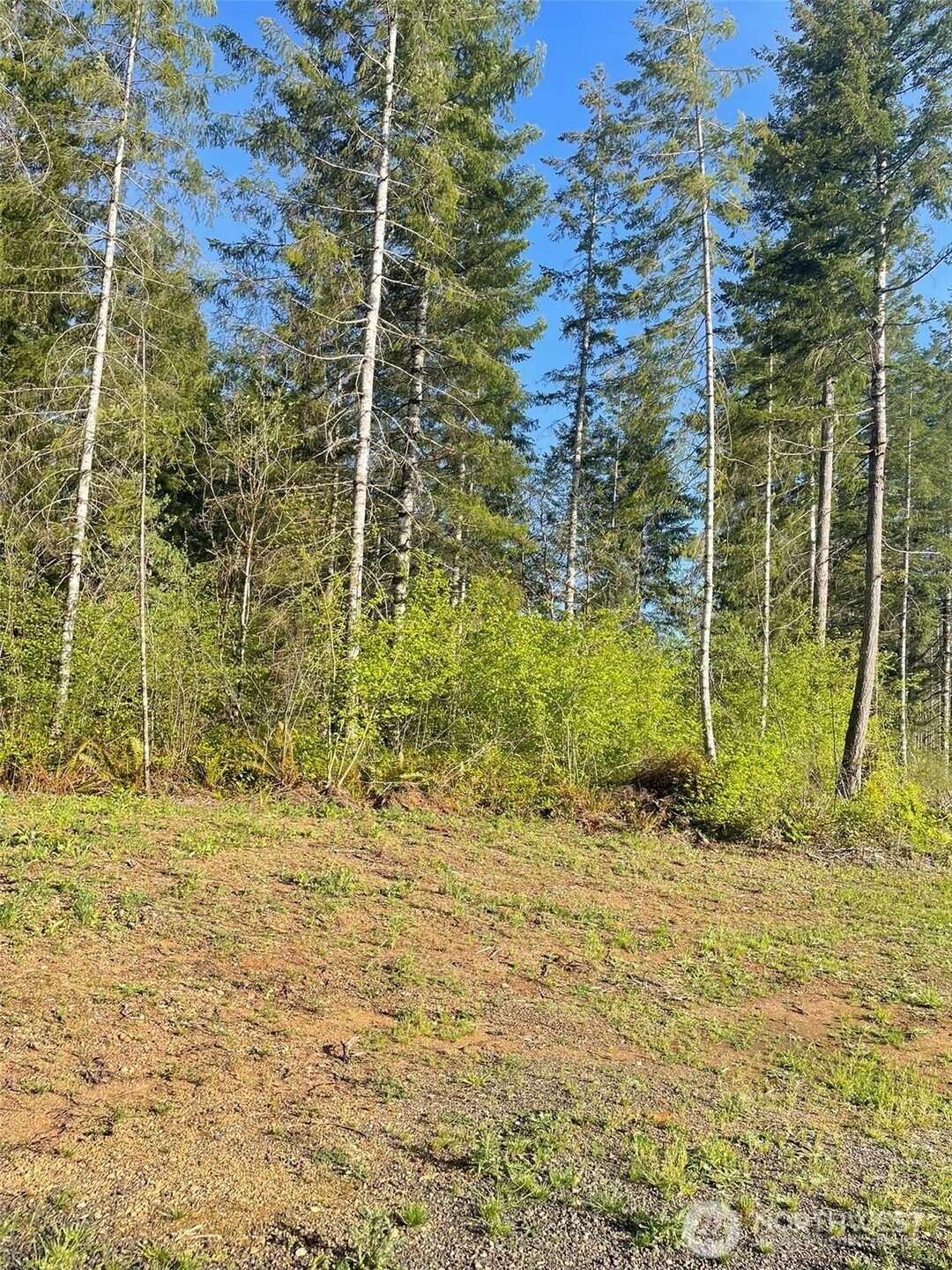 14253 W Cloquallum Road Property Photo 6