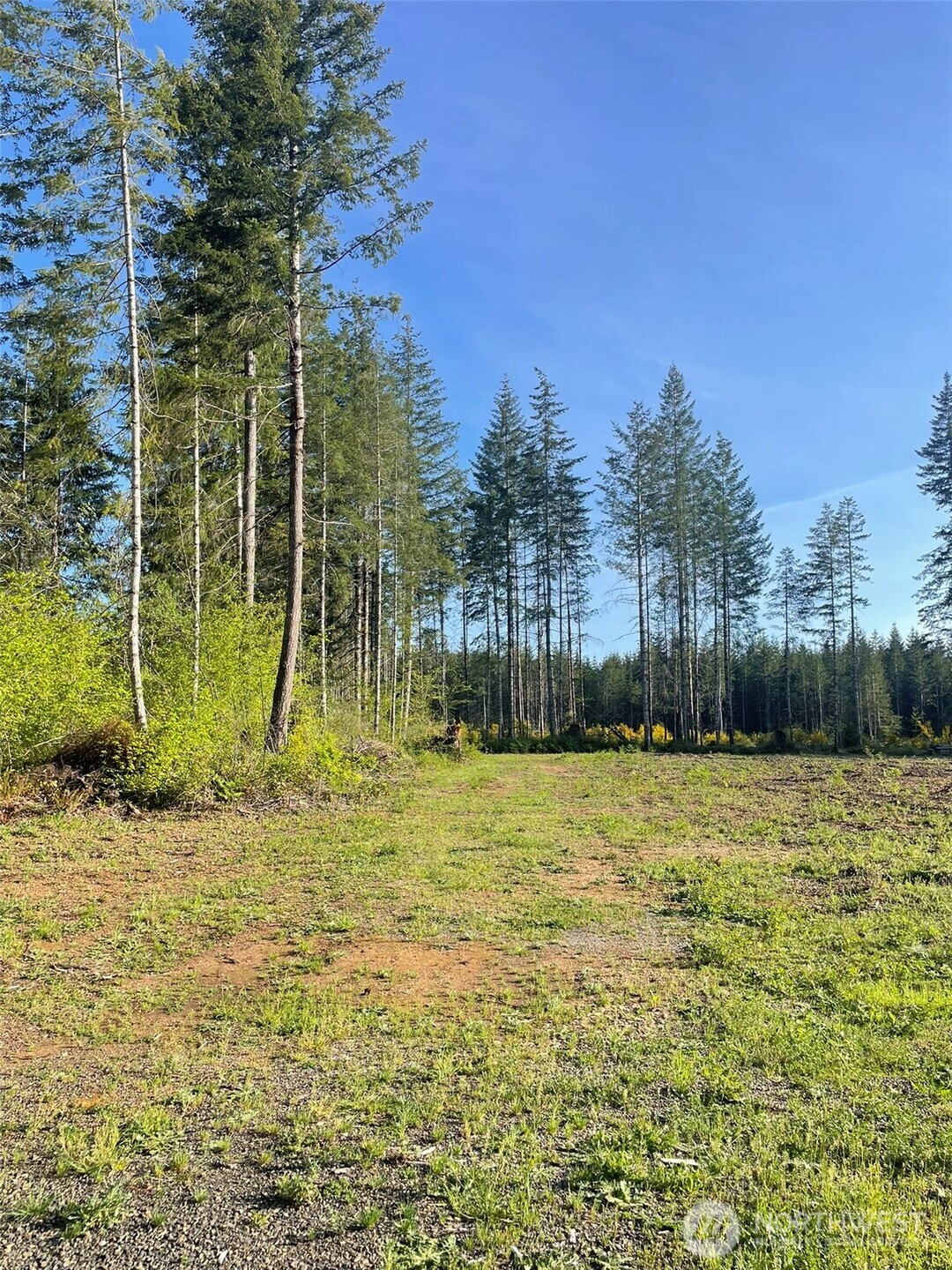 14253 W Cloquallum Road Property Photo 7