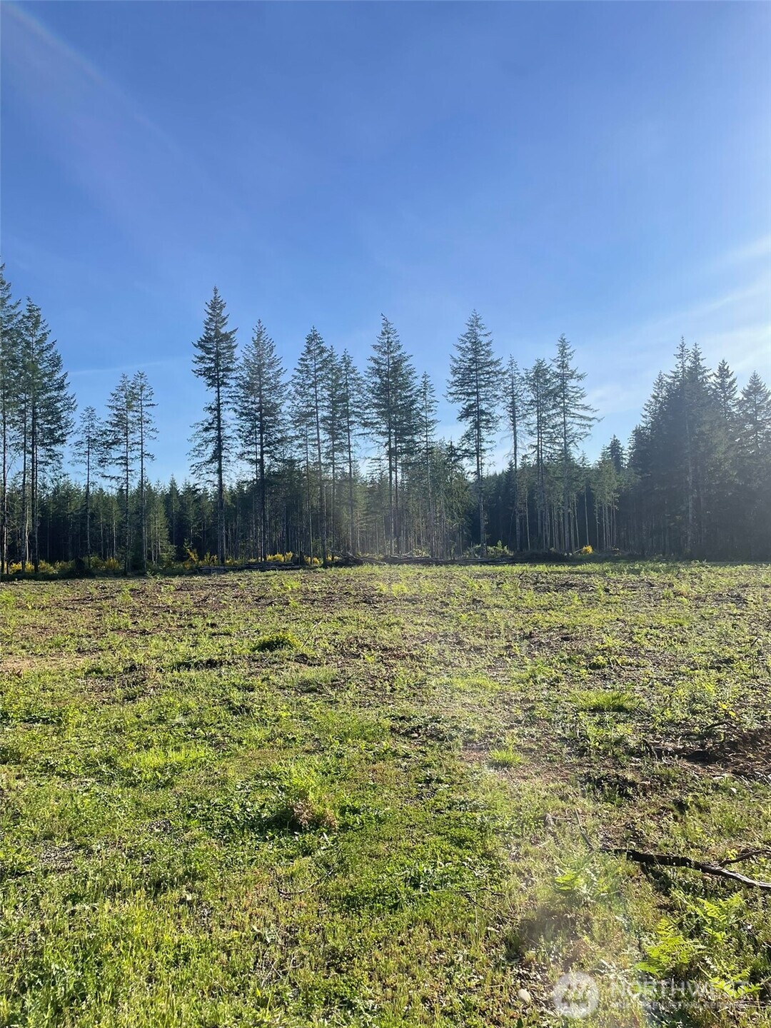 14253 W Cloquallum Road Property Photo 8