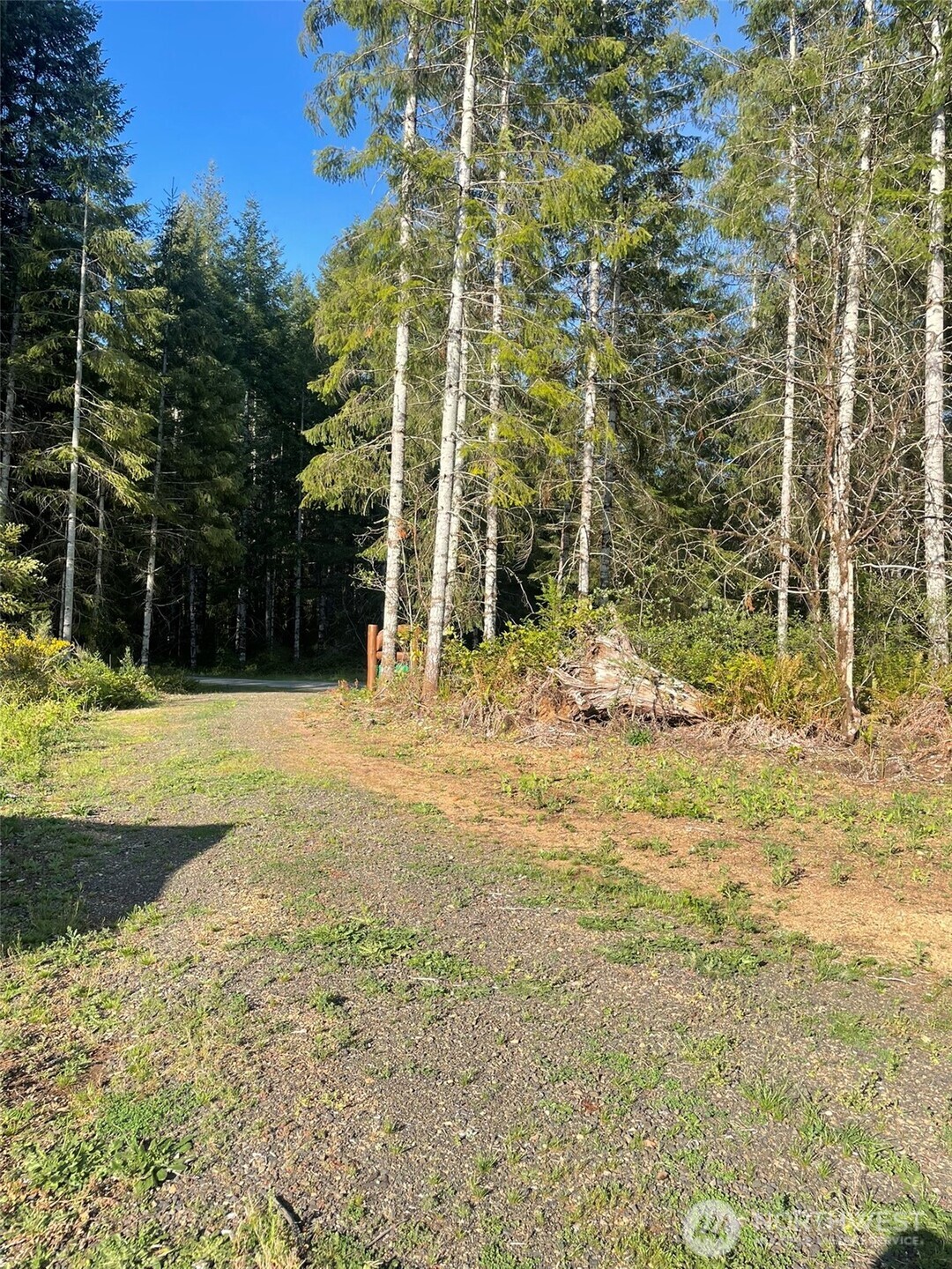14253 W Cloquallum Road Property Photo 9