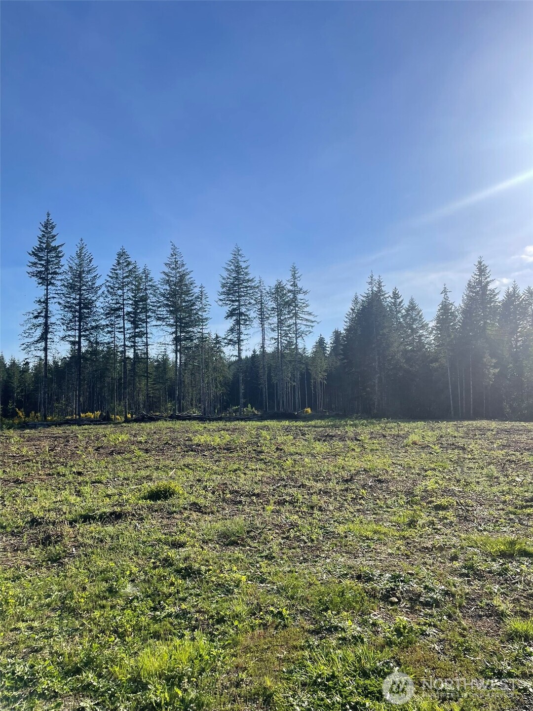 14253 W Cloquallum Road Property Photo 10