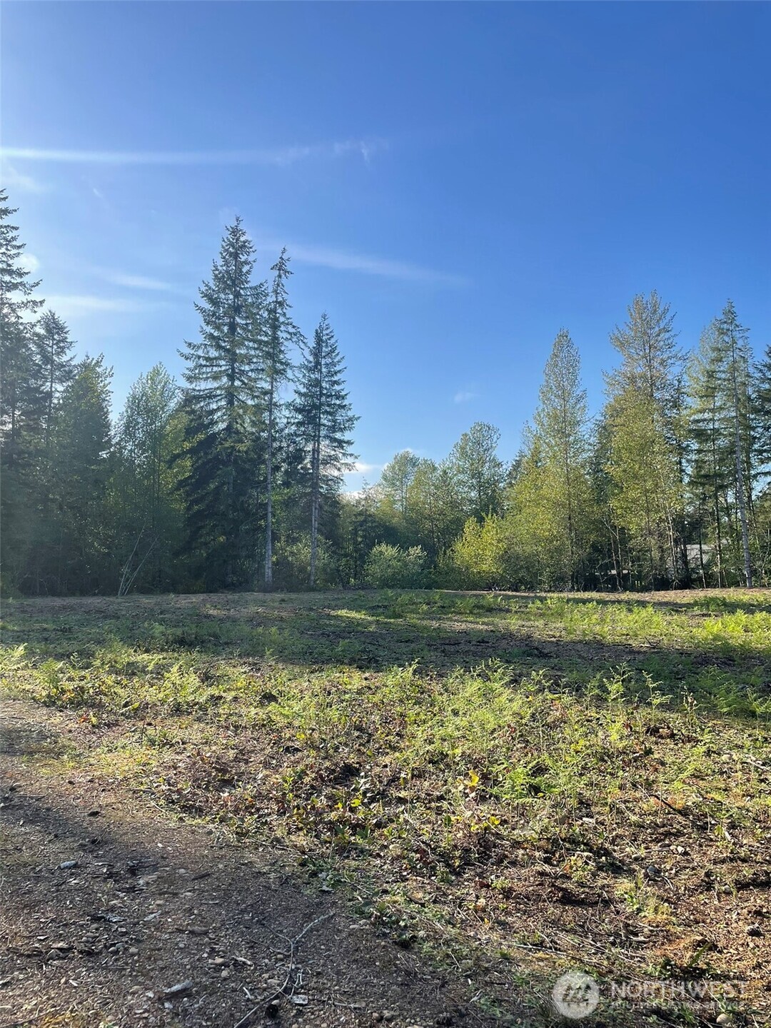 14253 W Cloquallum Road Property Photo 19