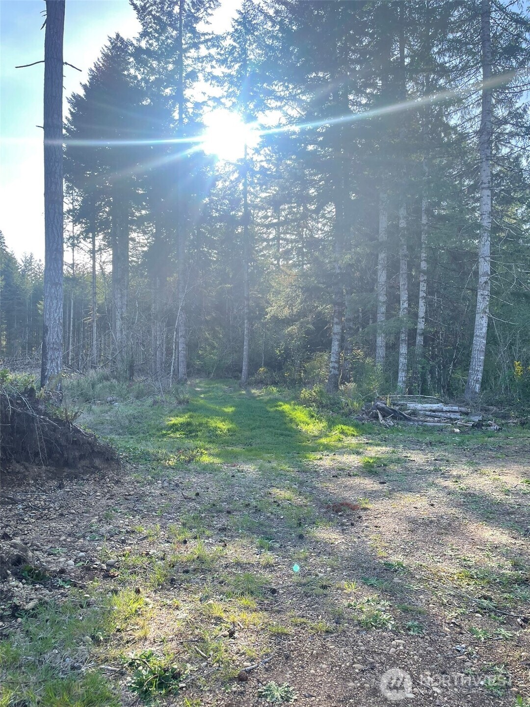14253 W Cloquallum Road Property Photo 20