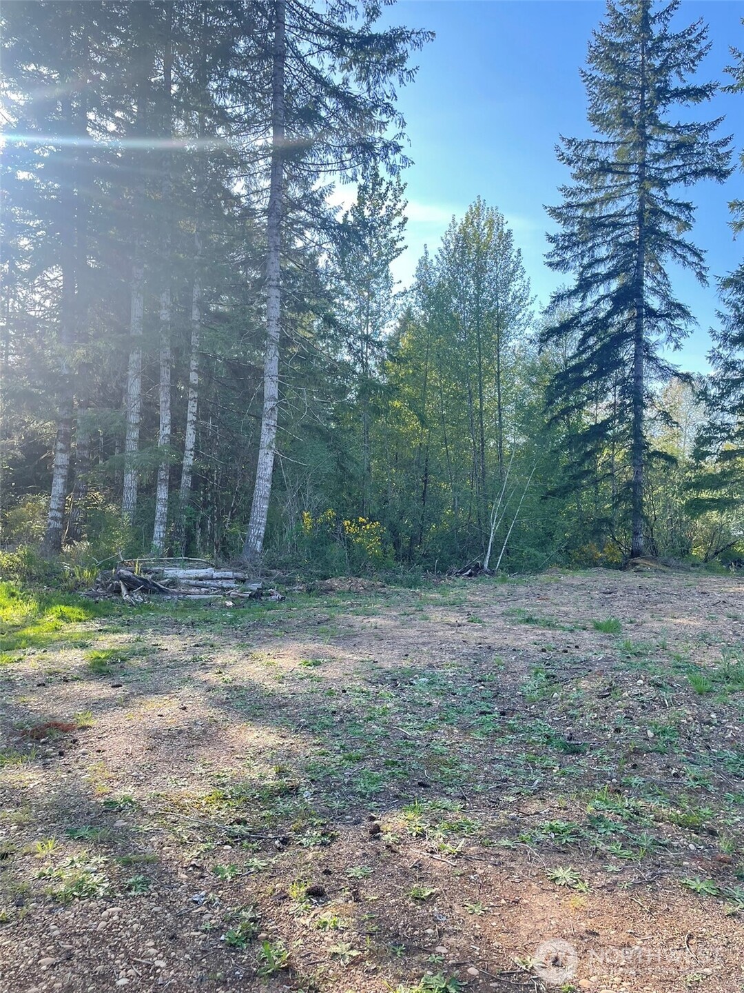 14253 W Cloquallum Road Property Photo 21