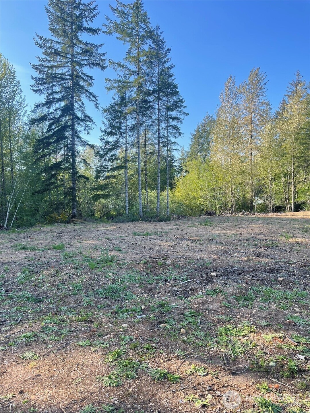 14253 W Cloquallum Road Property Photo 22