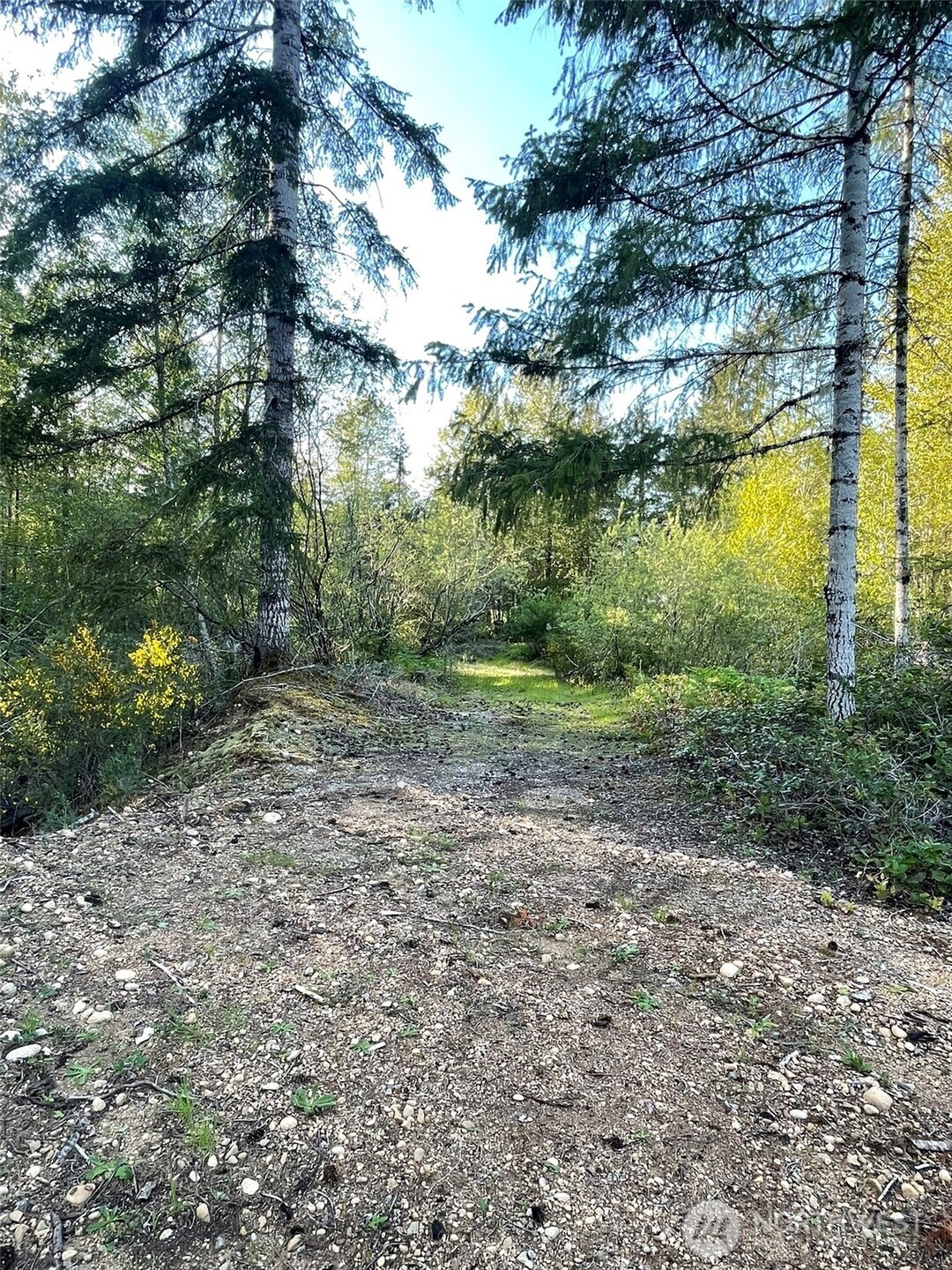 14253 W Cloquallum Road Property Photo 24