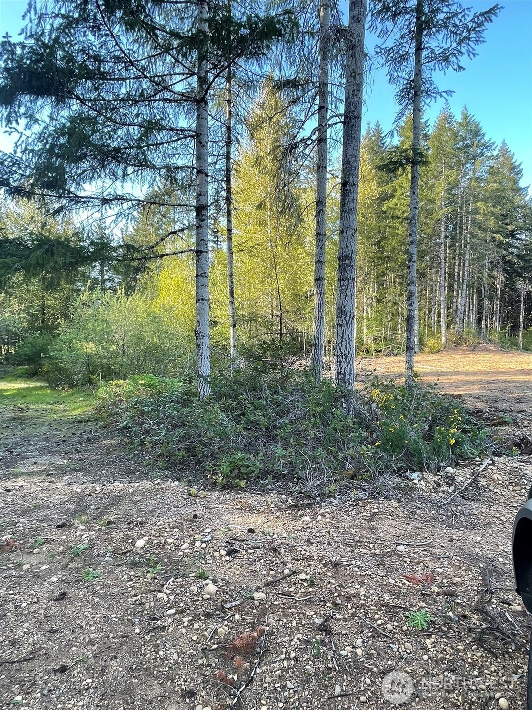 14253 W Cloquallum Road Property Photo 25