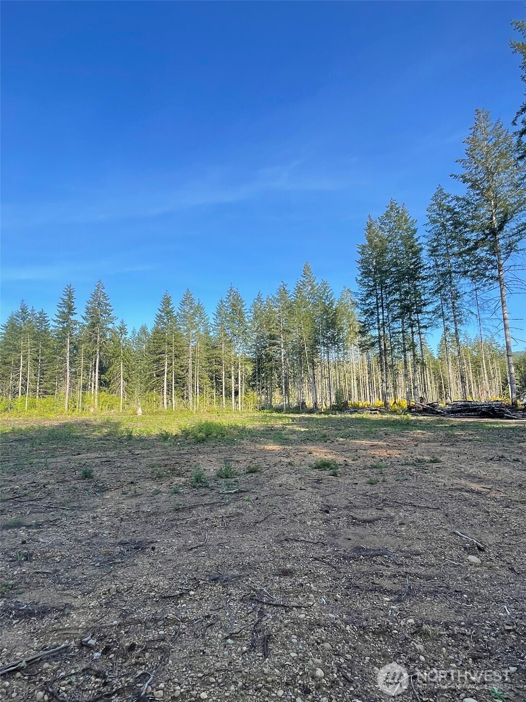 14253 W Cloquallum Road Property Photo 27