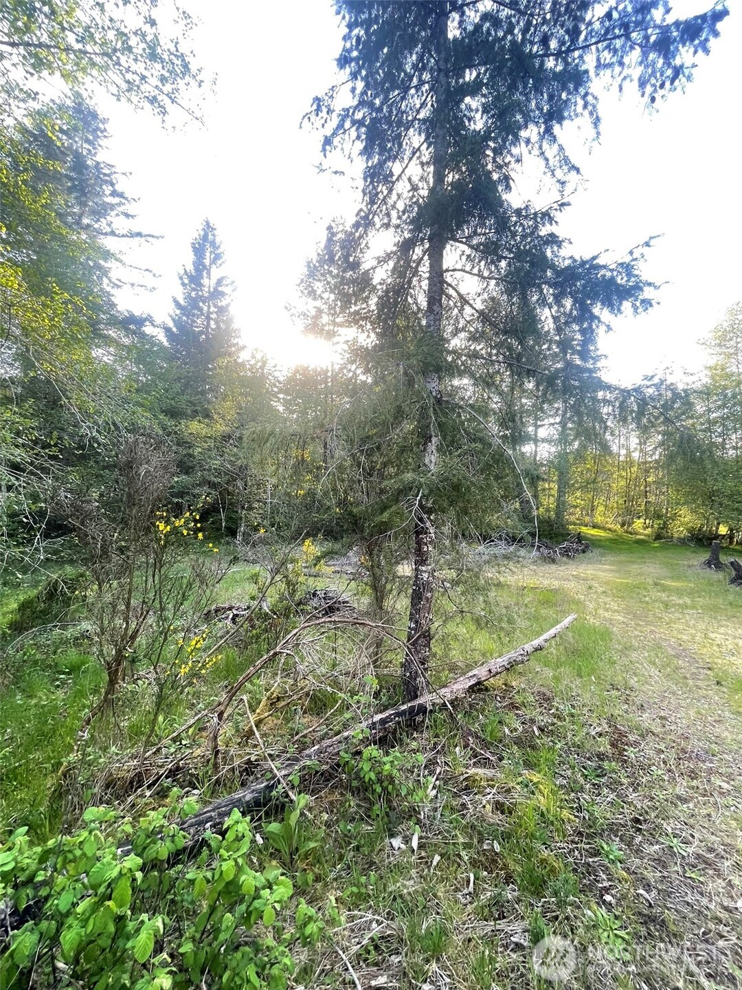 14253 W Cloquallum Road Property Photo 28