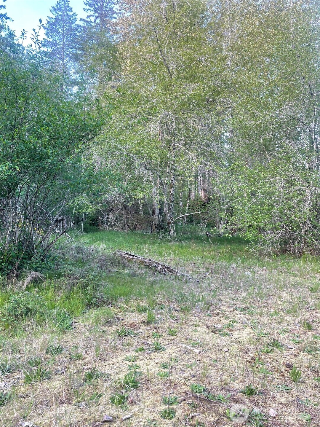 14253 W Cloquallum Road Property Photo 38