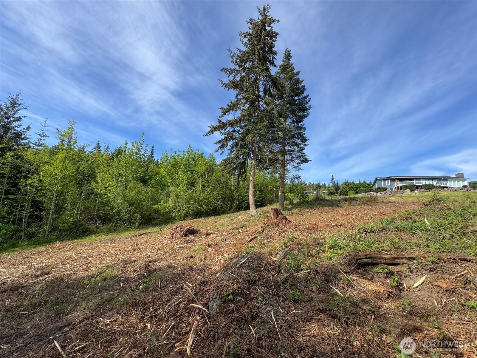501 Solana Parkway Property Photo 22