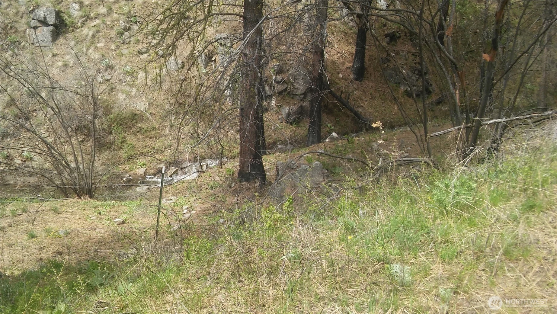 0 Tbd N Fork Salmon Creek Road Property Photo 2