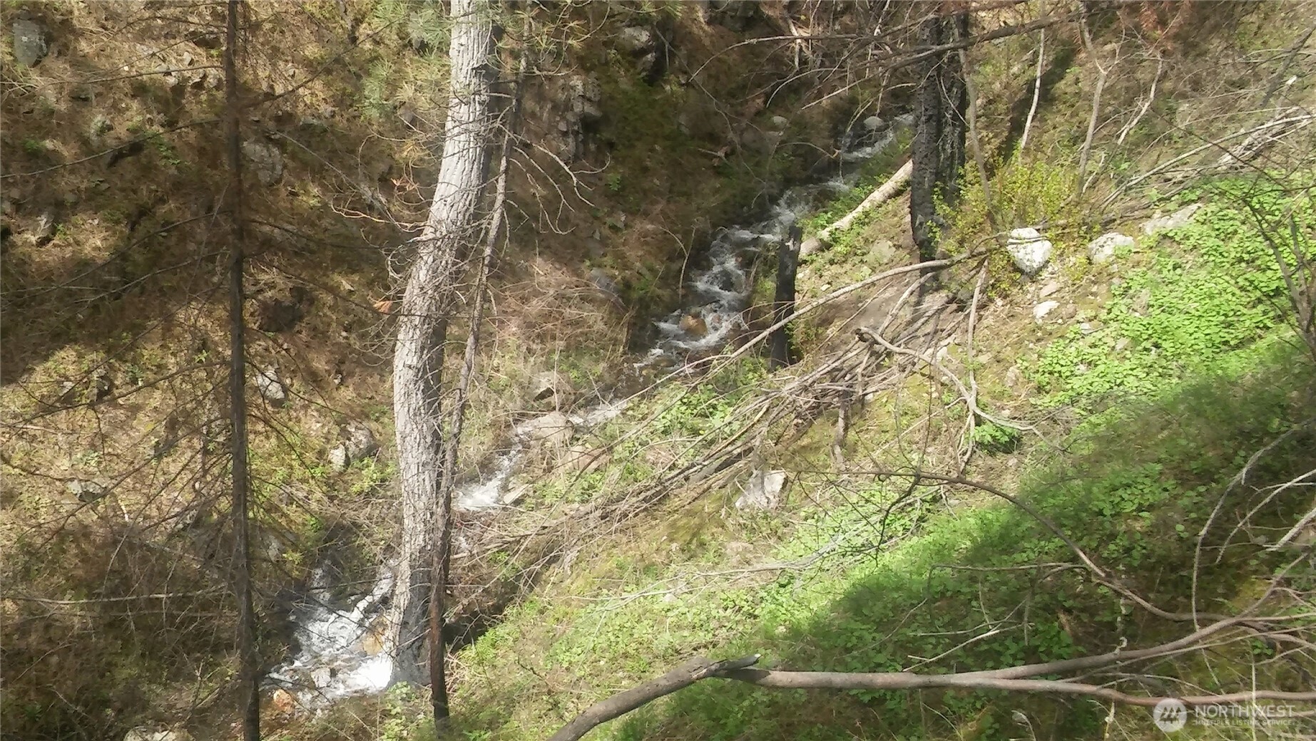 0 Tbd N Fork Salmon Creek Road Property Photo 3