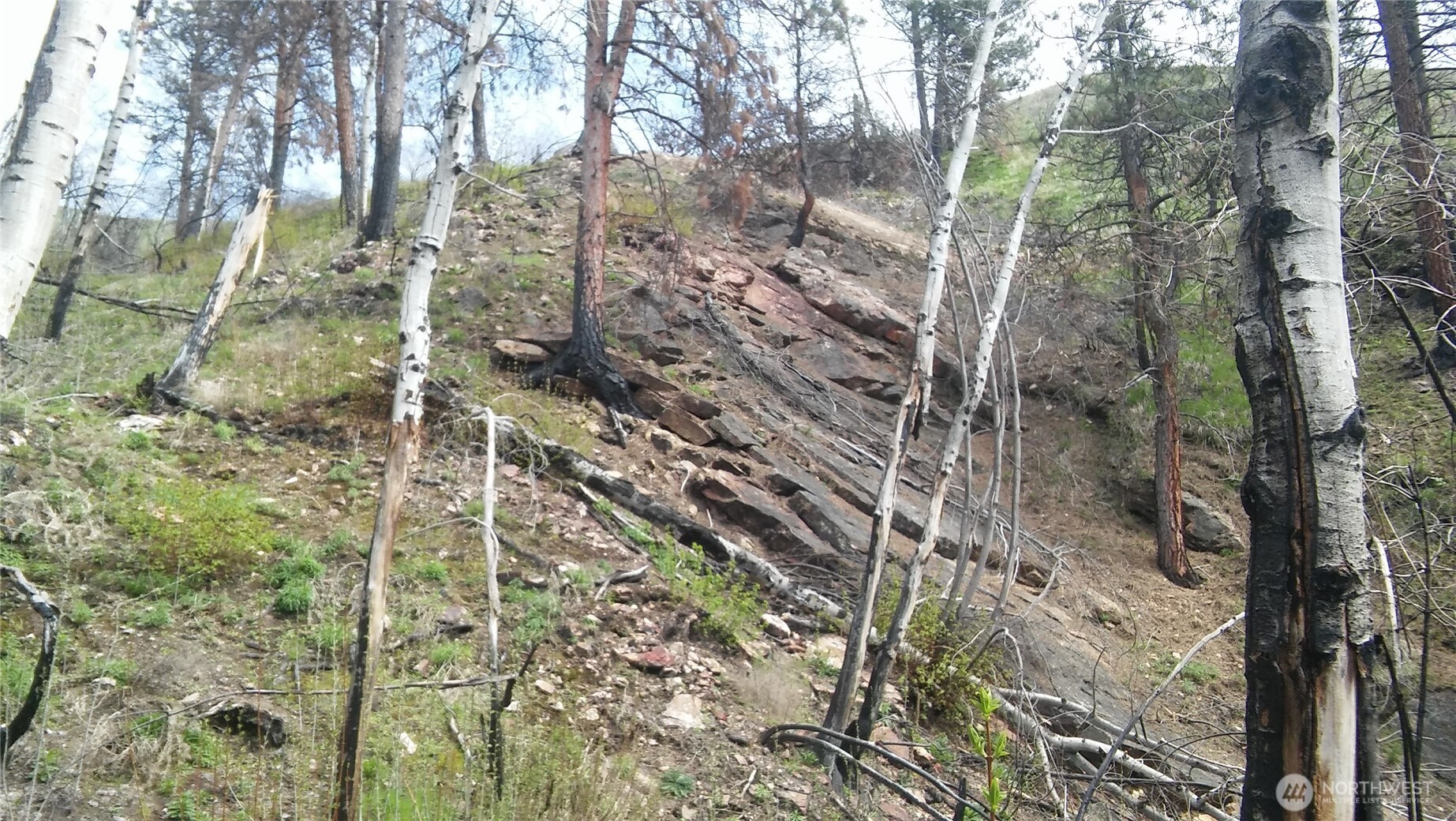 0 Tbd N Fork Salmon Creek Road Property Photo 4