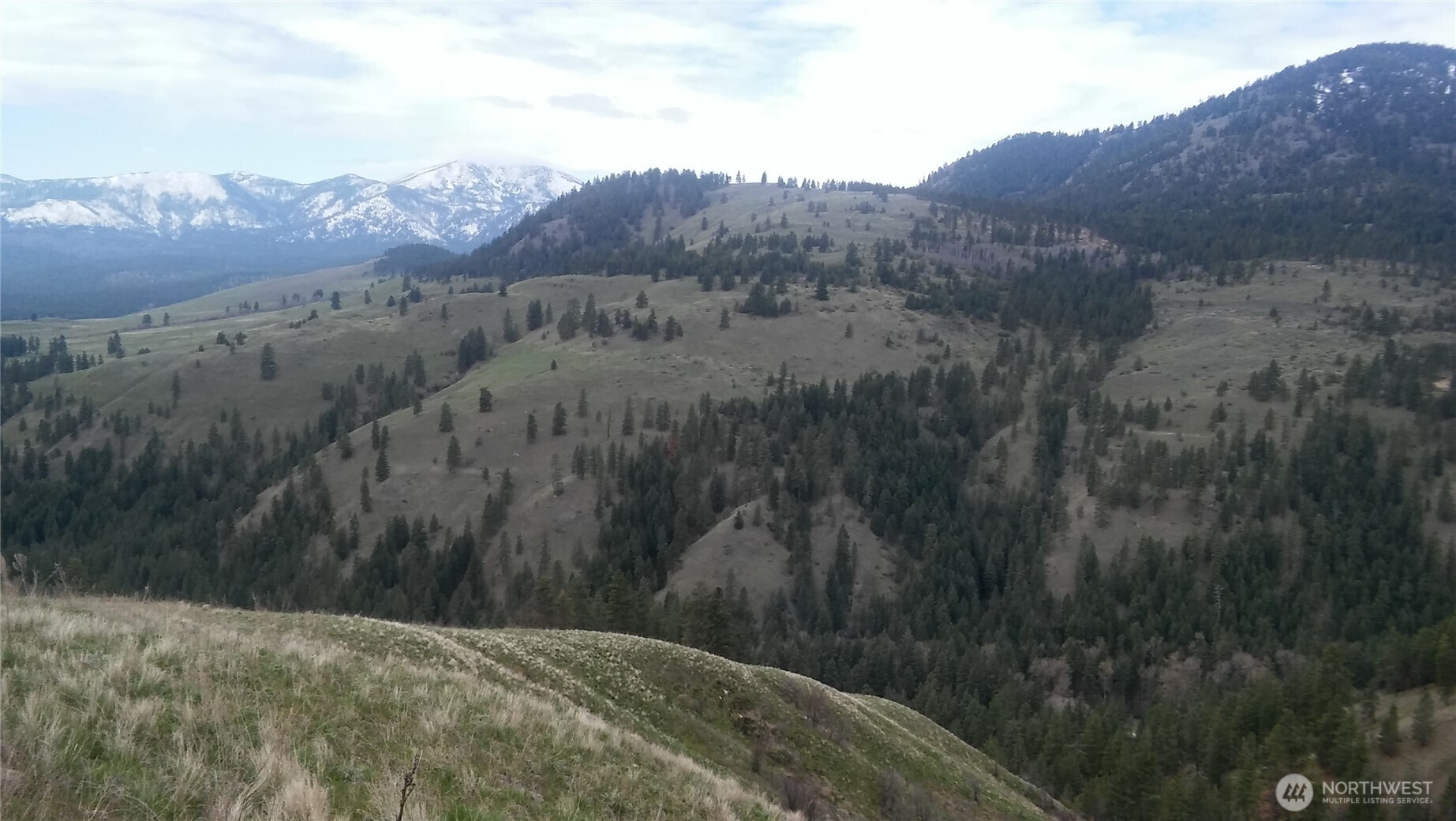 0 Tbd N Fork Salmon Creek Road Property Photo 5