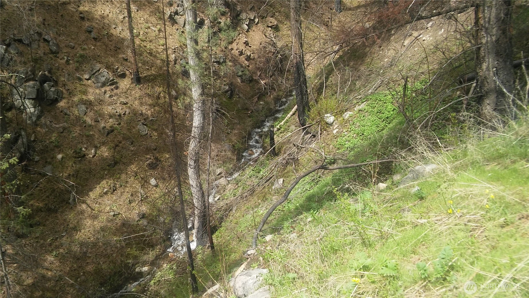 0 Tbd N Fork Salmon Creek Road Property Photo 6