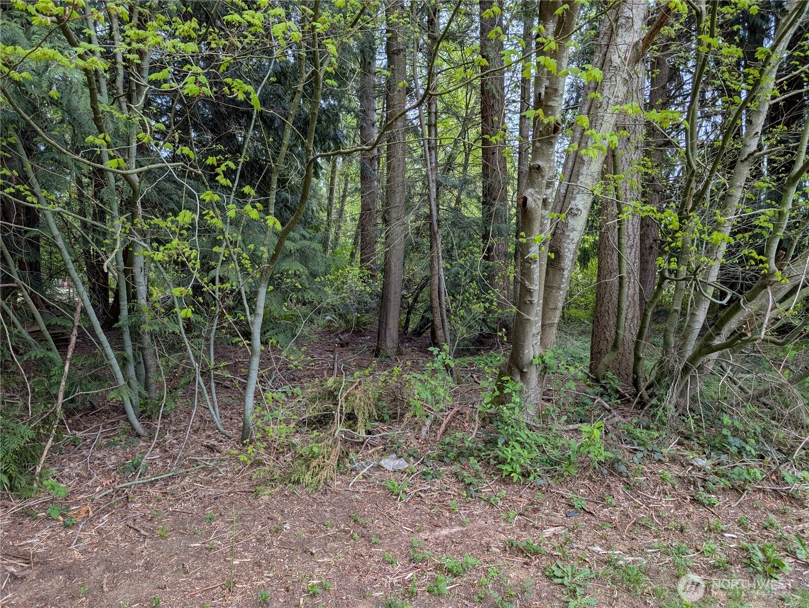 17810 25th Avenue Property Photo 12