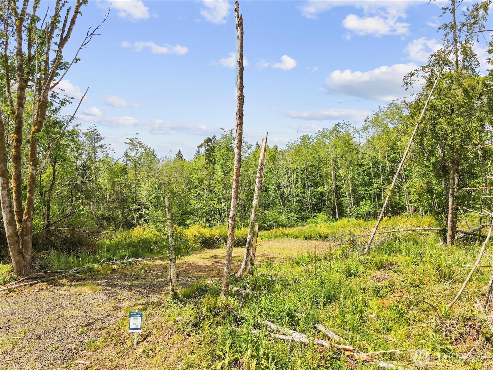 80 E Cascara Cove Lane Property Photo 6