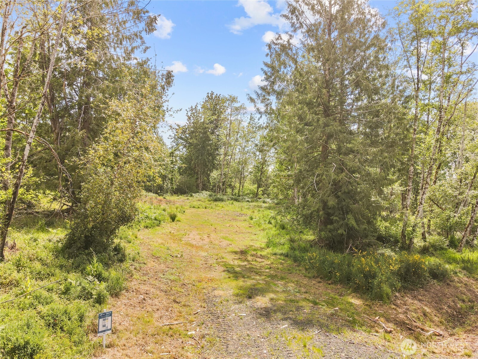 91 E Cascara Cove Lane Property Photo 6