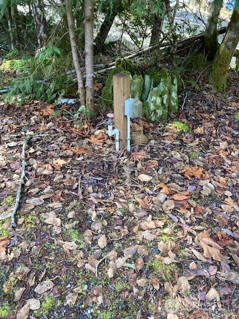 100 N Dow Mountain Drive Property Photo 3
