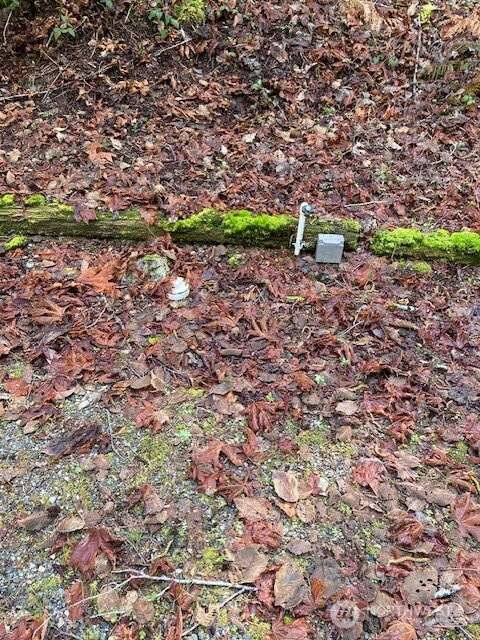 100 N Dow Mountain Drive Property Photo 5