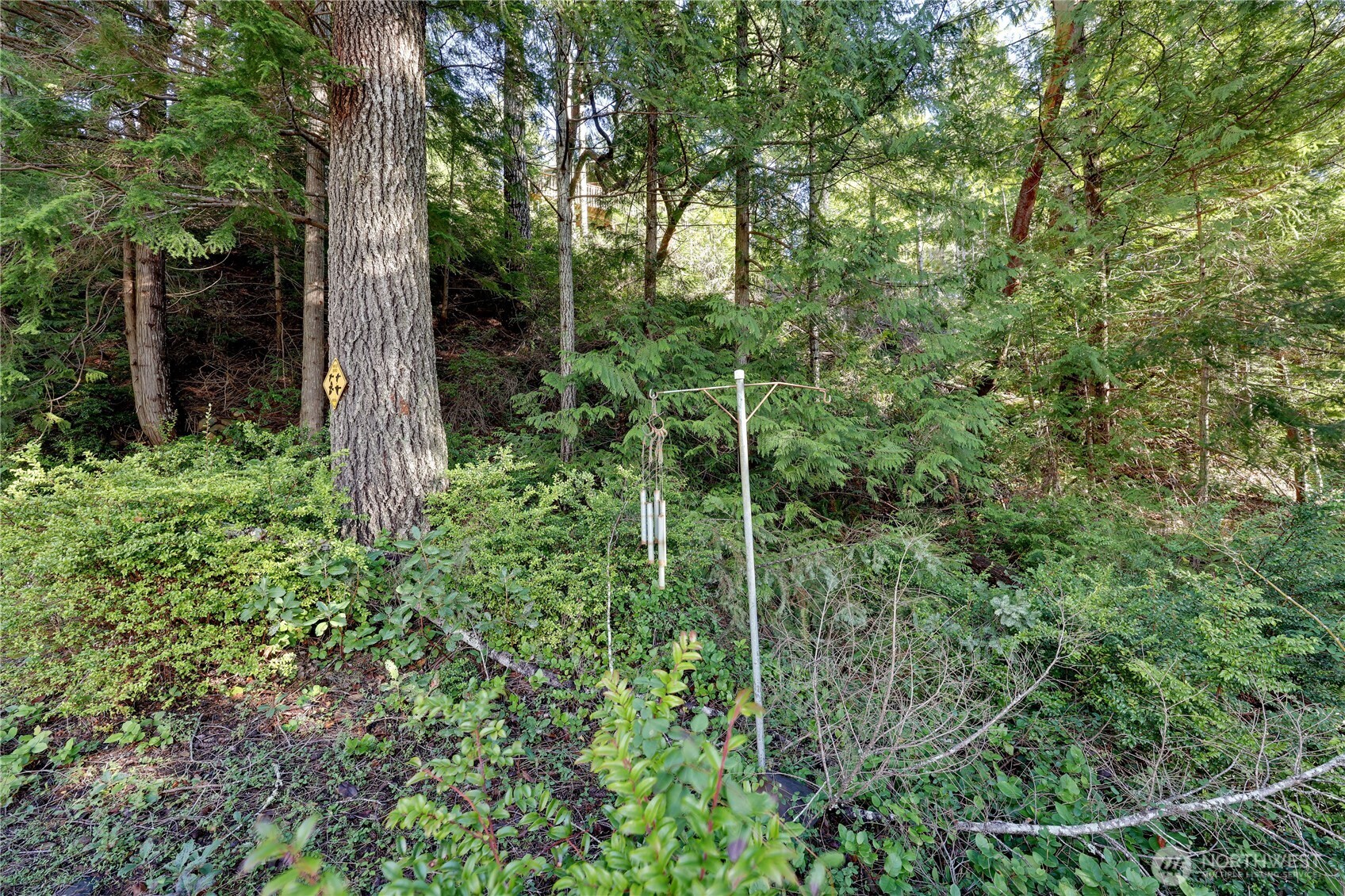 170 Cirque Drive Property Photo 21