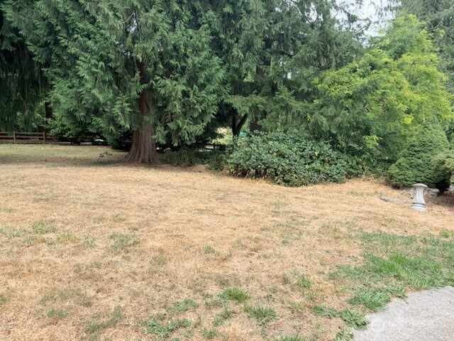 14717 206th Avenue Property Photo 5
