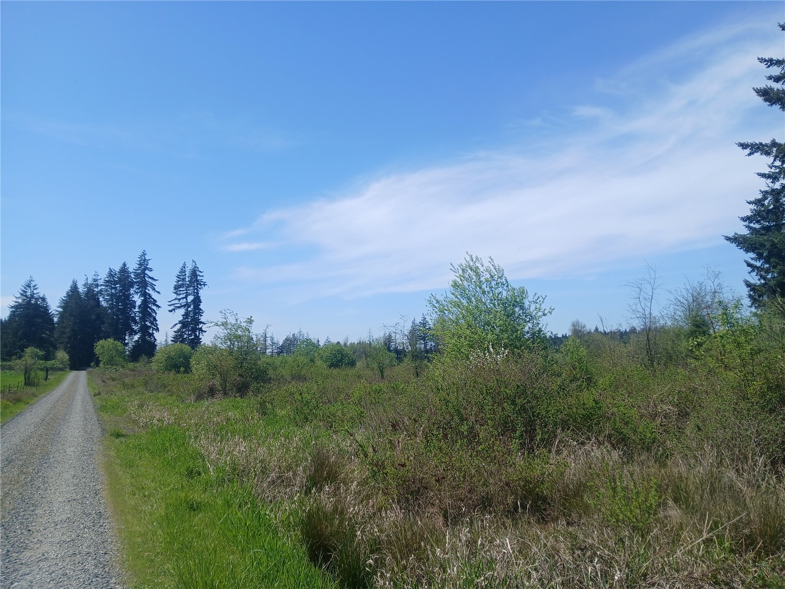 456 Meier Road Property Photo 1