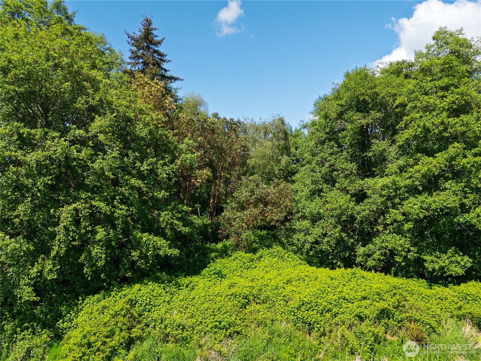 0 0 - Soundview Property Photo 8