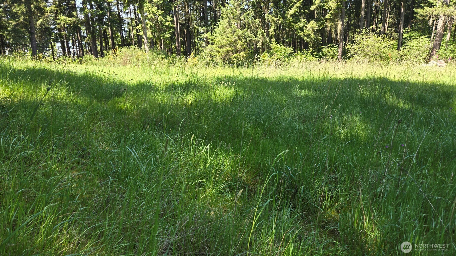 2525 Willa Street Property Photo 8
