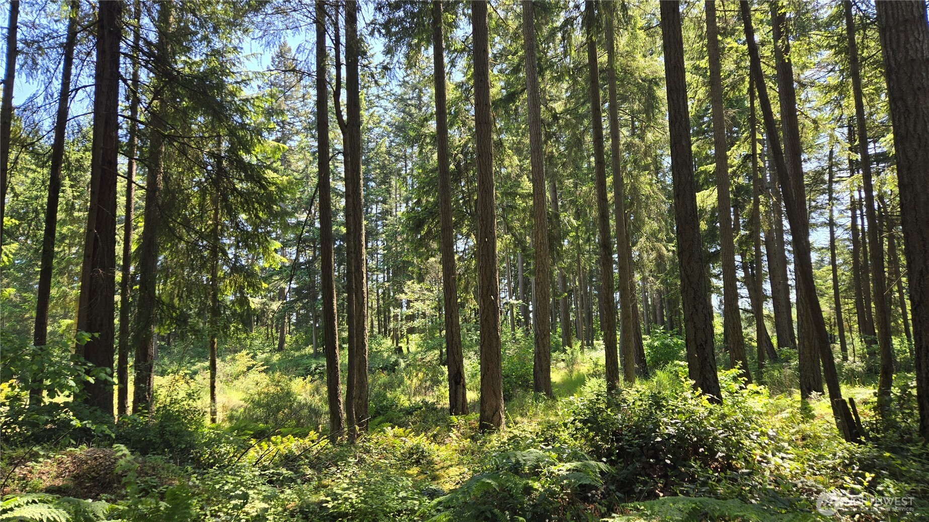 2525 Willa Street Property Photo 22