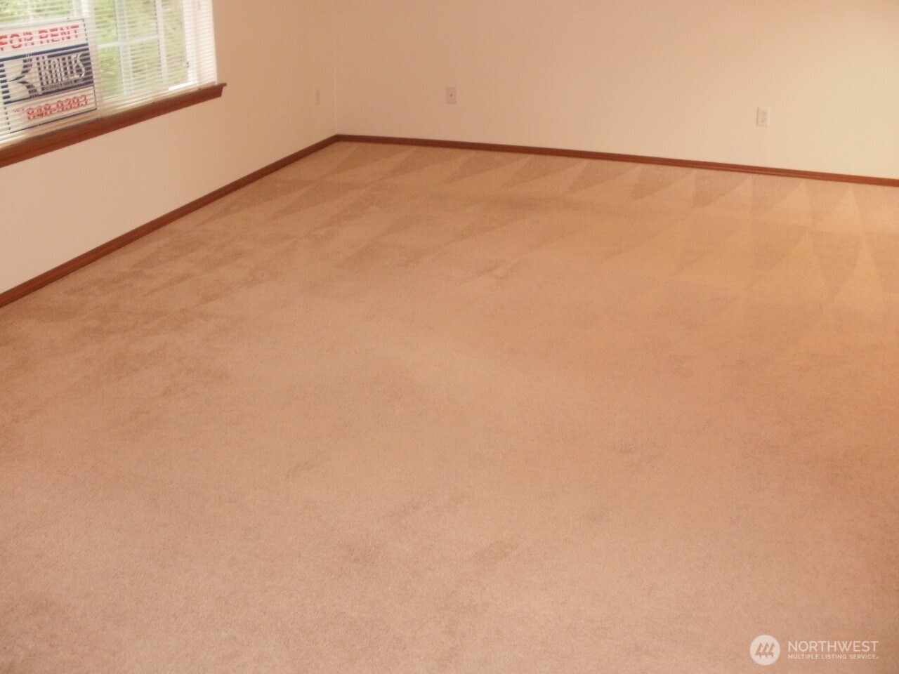 7229 Vandermark Road Property Photo 5