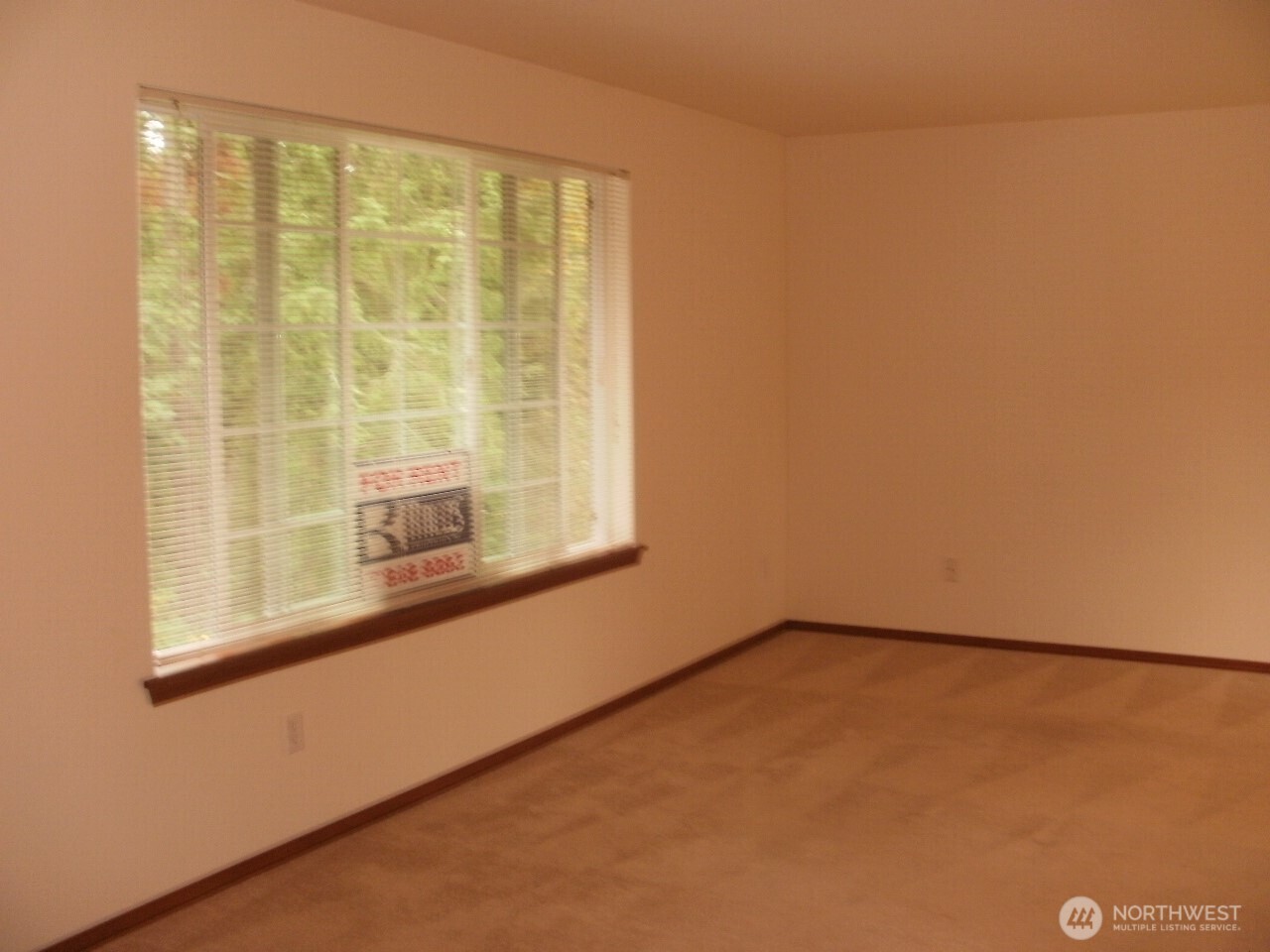 7229 Vandermark Road Property Photo 6