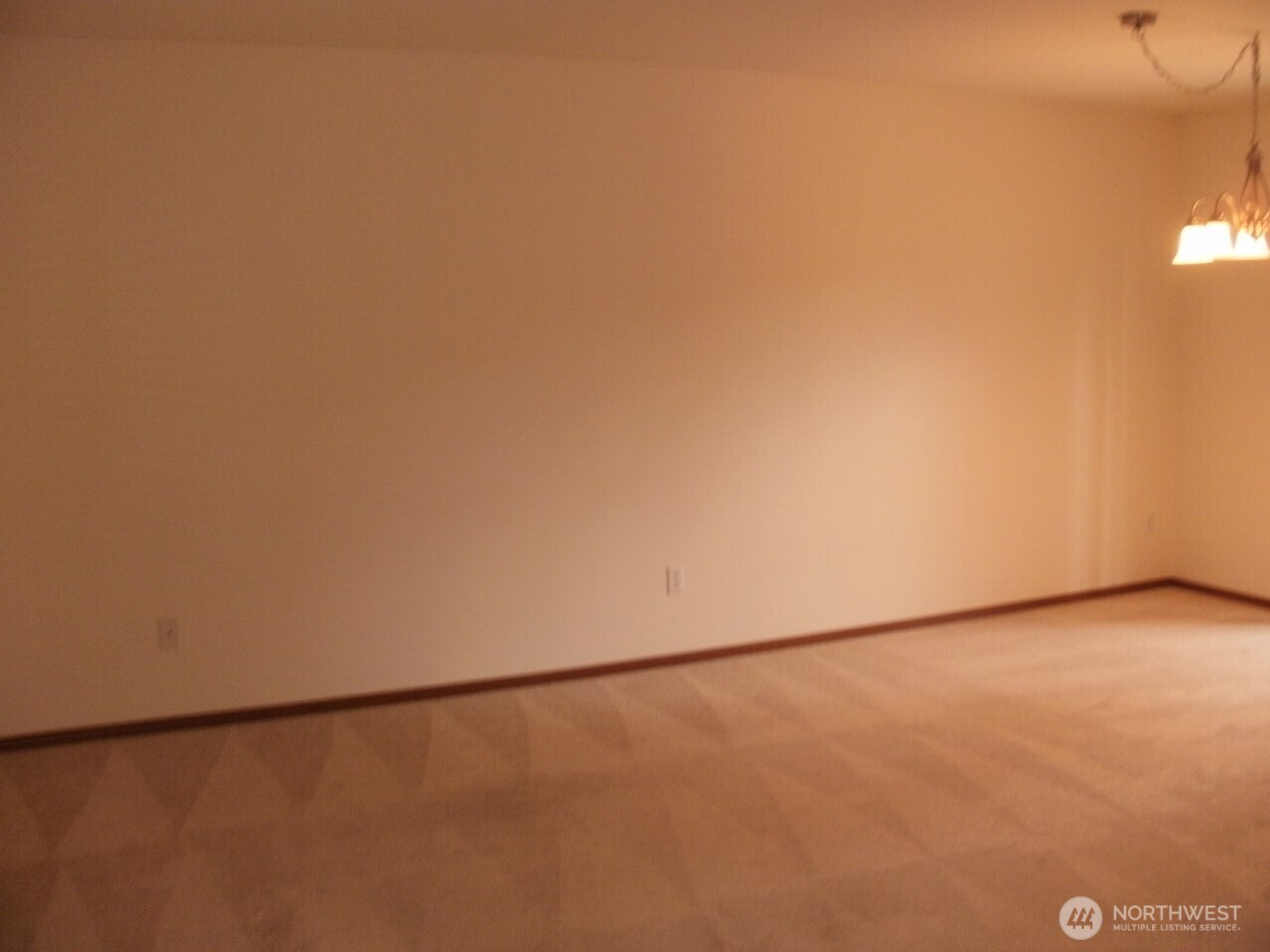 7229 Vandermark Road Property Photo 7