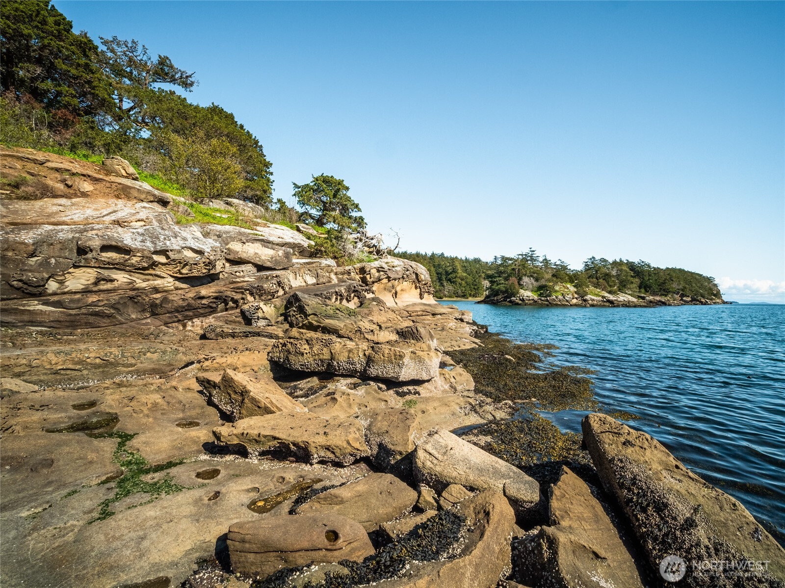 0 Harnden Island Property Photo 10