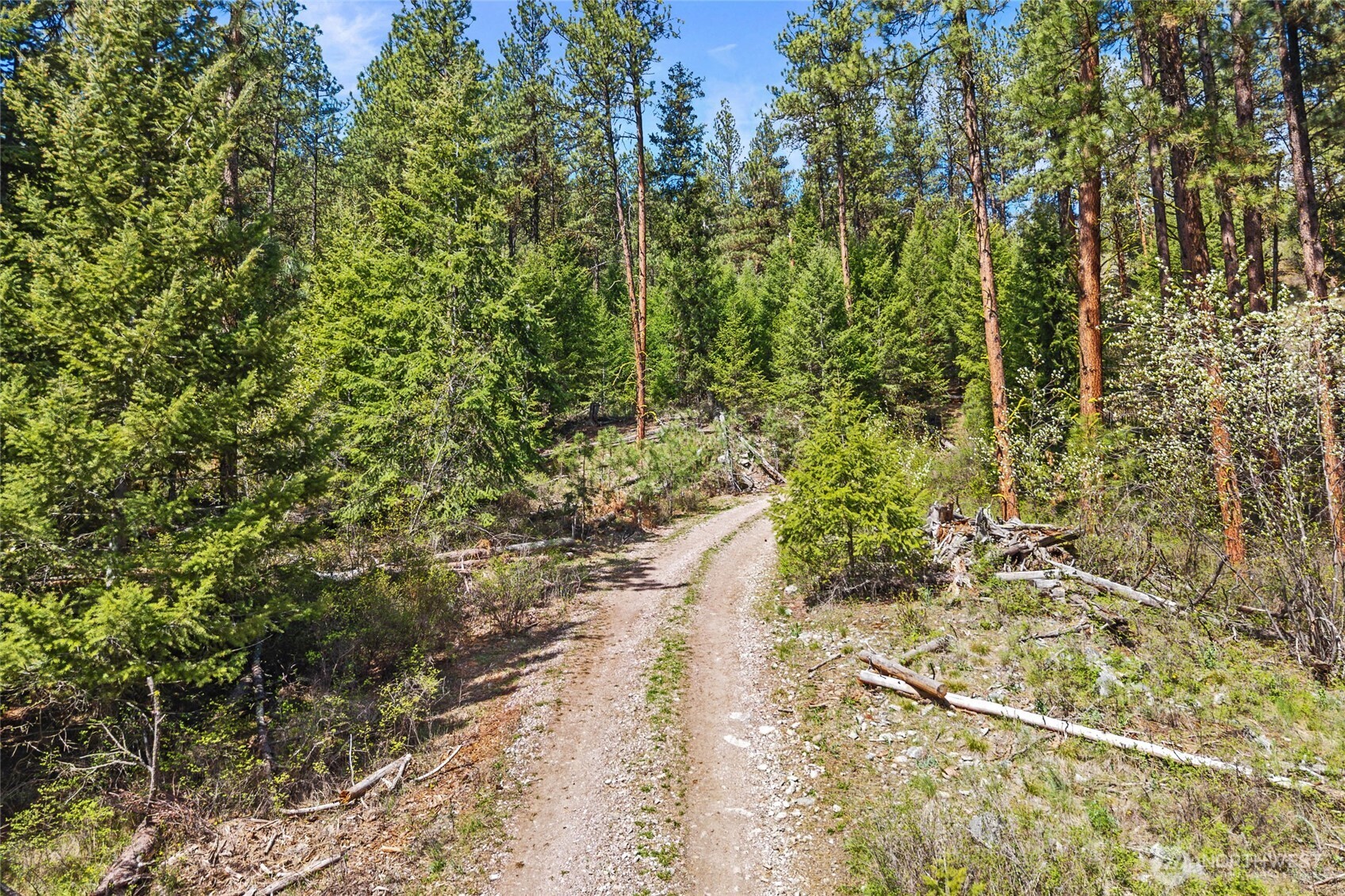 45 Xxxx Klondike Property Photo 4