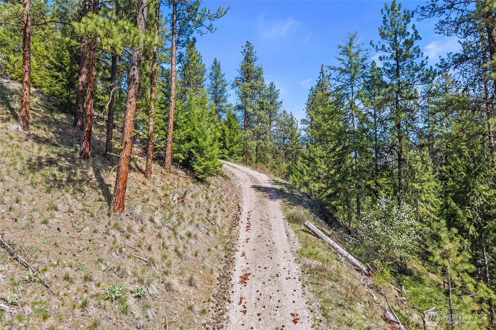 45 Xxxx Klondike Property Photo 8