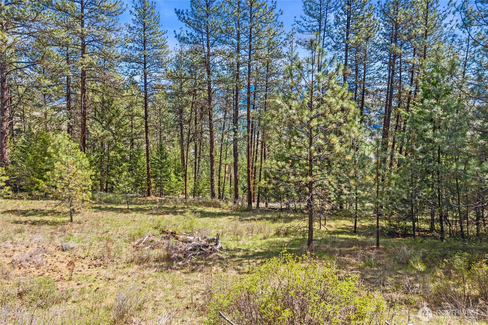 45 Xxxx Klondike Property Photo 9