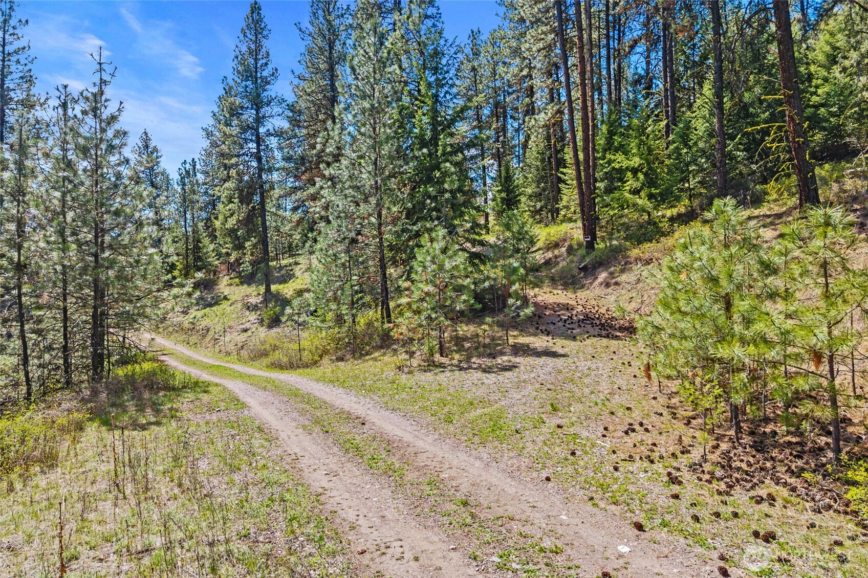 45 Xxxx Klondike Property Photo 13