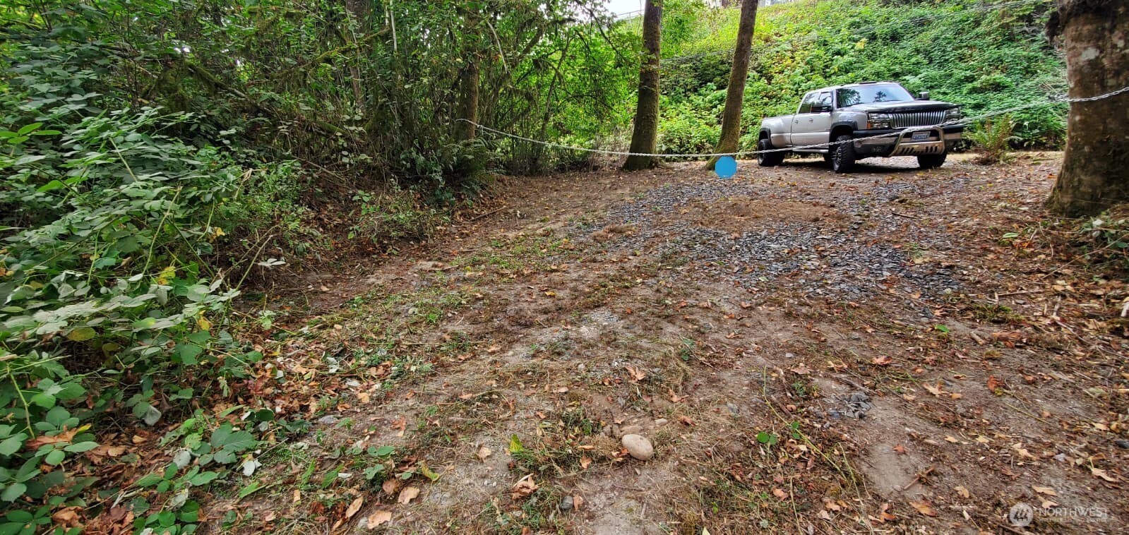 16930 117th Place Property Photo 3