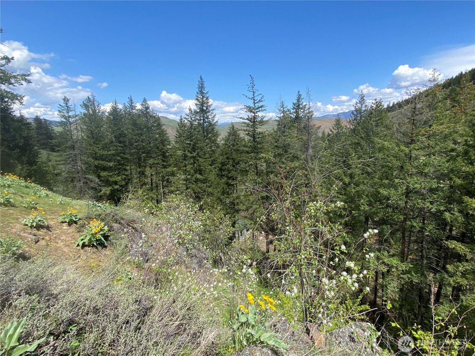 102 Elbow Canyon Road Property Photo 13