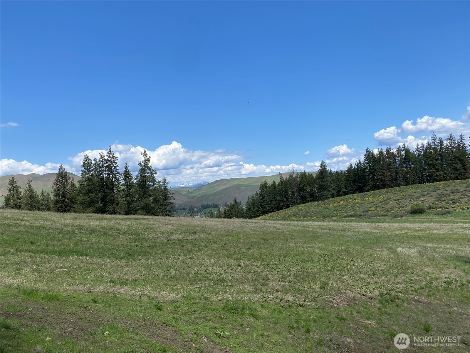 102 Elbow Canyon Road Property Photo 14
