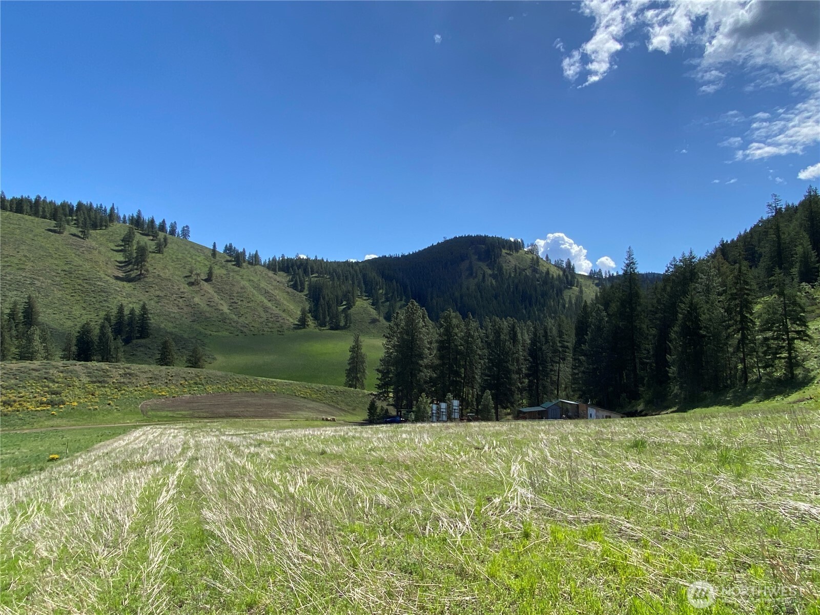 102 Elbow Canyon Road Property Photo 18