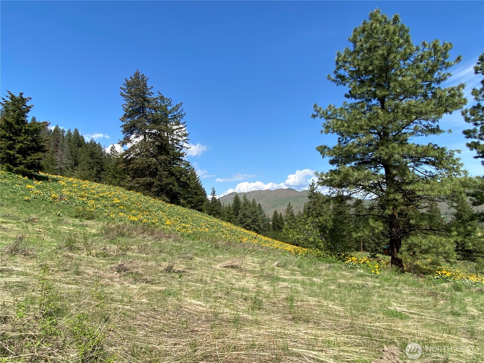 102 Elbow Canyon Road Property Photo 19